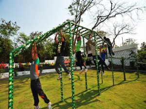 Tarzan Swing